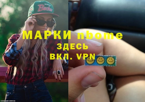стаф Алзамай