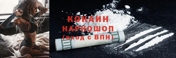 стаф Алзамай