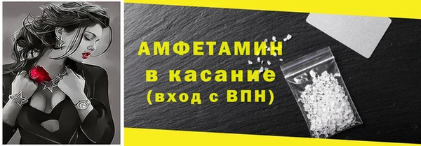 стаф Алзамай