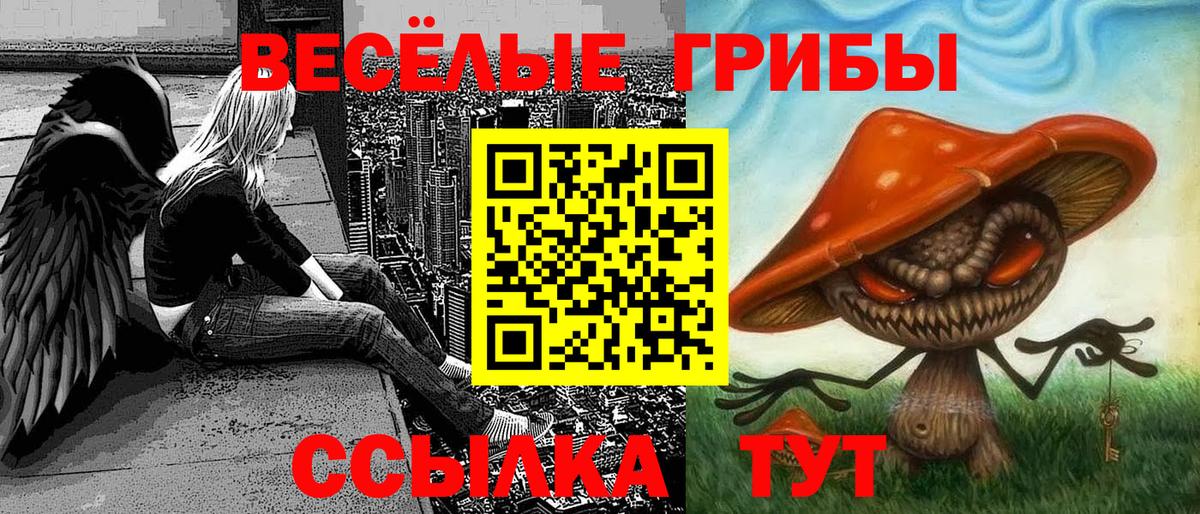 Галлюциногенные грибы Psilocybine cubensis  Вход с VPN  купить наркоту  Когалым 