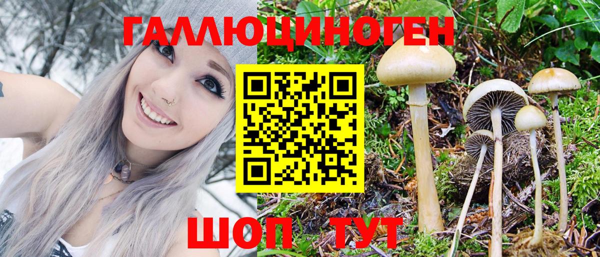 Псилоцибиновые грибы Cubensis Когалым